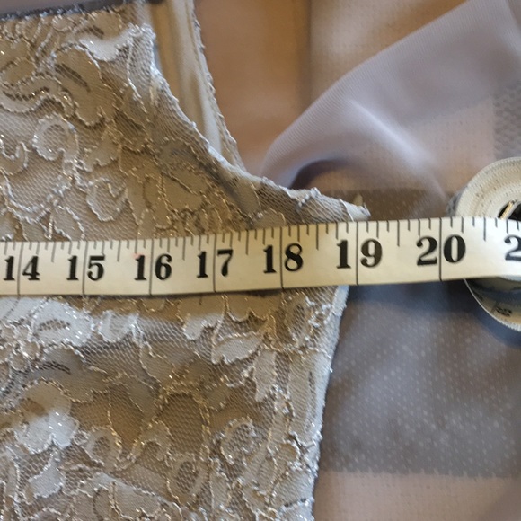 Ronnie Nicole mother of the bride dress - Picture 10 of 12